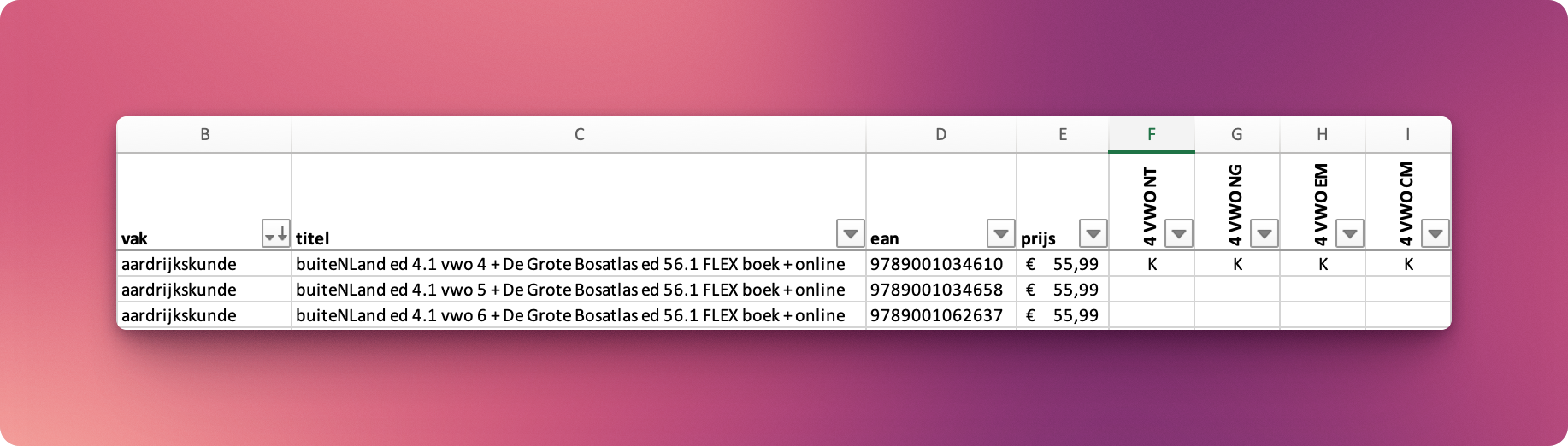 Voorbeeld structuur Excel-bestand Voorbeeld structuur Excel-bestand
